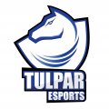 Tulpar-E-Sports