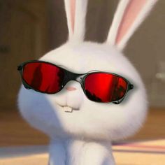 Oyun Arkadaşı Arıyorum