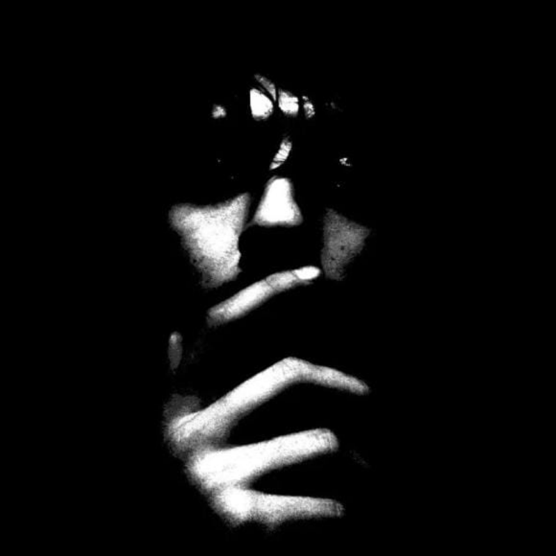 Wildrift takım arkadaşı